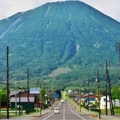 倶知安でお友達☆