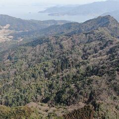 【成約済】山林物件120　山口県柳井市日積