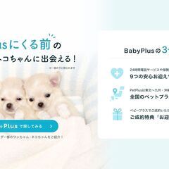 スタッフ全員が“ 幸せ配達人”として、ペットとその飼い主様が 健やかで幸せな毎日を過ごせるよう、全力でサポートいたします。 - 長崎市