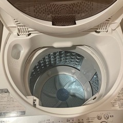 東芝 洗濯機 5キロの画像