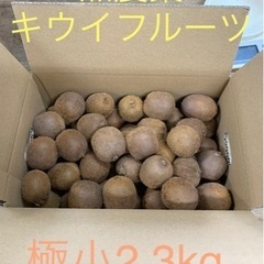 ☆★☆キウイフルーツ小粒〜2.3kg【未完熟･食べ頃混】④☆★☆