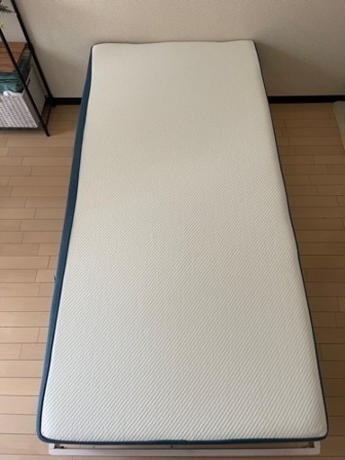 コアラマットレス　 (KOALA MATTRESS)  (無料の羽毛布団)