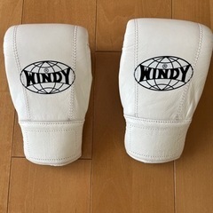 windy（ウィンディ）パンチンググローブ