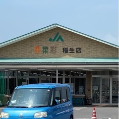 果菜彩稲生店にてめだか販売開始のお知らせ