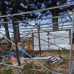 単管パイプの小屋解体