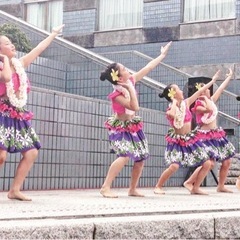府中　子供フラダンス 