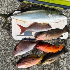 ボート釣り(海)の同乗者を募集します