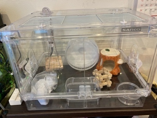 ハムスター飼育セット