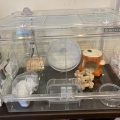 ハムスター飼育セット