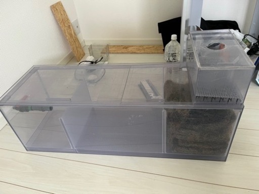 オーバーフロー濾過槽＋マグネットポンプ