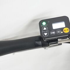 PANASONIC 「パナソニック」 ビビ・EX24 BE-ELE436V2 2020年モデル 電動アシスト自転車 電動自転車 3723031900009の画像