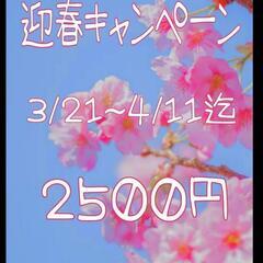 🌸CherryBlossom🌸