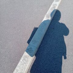 散歩友達求む☆
