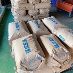 令和4年産　コシヒカリ🌾　玄米③