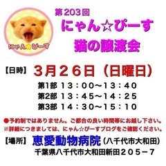 3月26日(日)🌸にゃん☆ぴーす猫の譲渡会🌸「恵愛動物病院」八千...