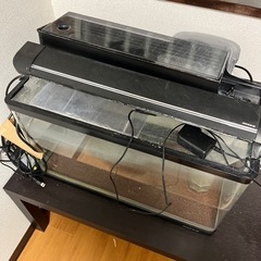 ニッソー　60センチ水槽　フルセット　曲げガラスの画像