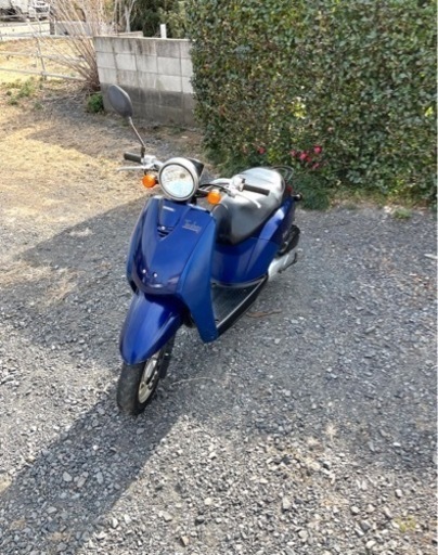 501.  動画あり　ホンダ　トゥデイ　原付　バイク　50cc   車体