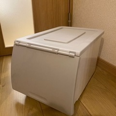 【ニトリ】衣装ケース、薄いグレー