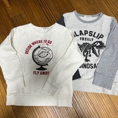 トレーナー120