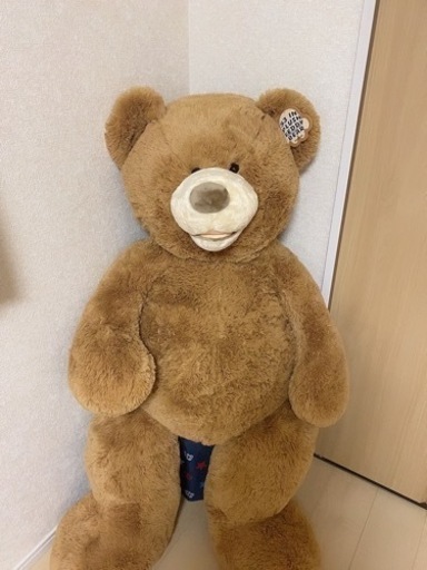 コストコくまさん
