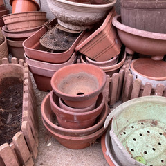 植木鉢　鉢植え　プランター　引き取り限定の画像