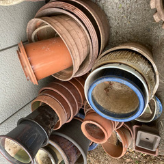 植木鉢　鉢植え　プランター　引き取り限定の画像