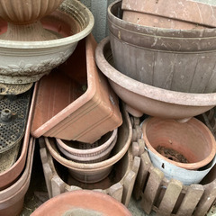 植木鉢　鉢植え　プランター　引き取り限定の画像