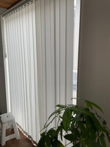 二つセット 立川ブラインド タチカワブラインド バーチカルブラインド