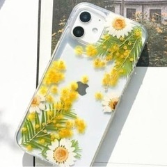 ミモザ　葉　tgamの画像