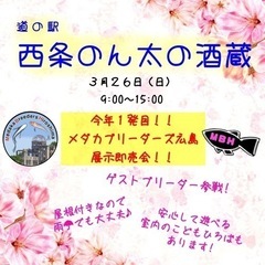 メダカ即売会、メダカ掬い