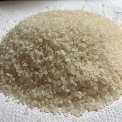 2022 10月産　加西　ヒノヒカリ10kgから対応します