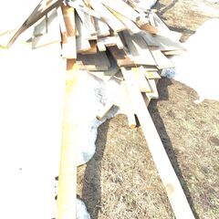 蒔き用に欲しい方