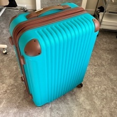キャリーバッグの画像