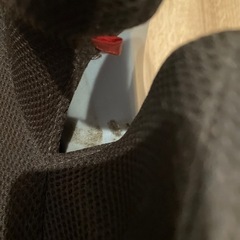 ジュニアシートの画像