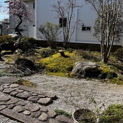 庭石　木
