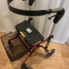 dolomite 歩行器の画像