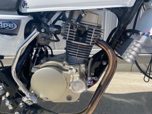 新古車！エイプ100 TYPED 極上 1オーナー 680km キタコカスタム多数