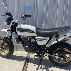 新古車！エイプ100 TYPED 極上 1オーナー 680km キタコカスタム多数 の画像