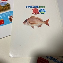 ハッピーセット　図鑑　8冊セットの画像