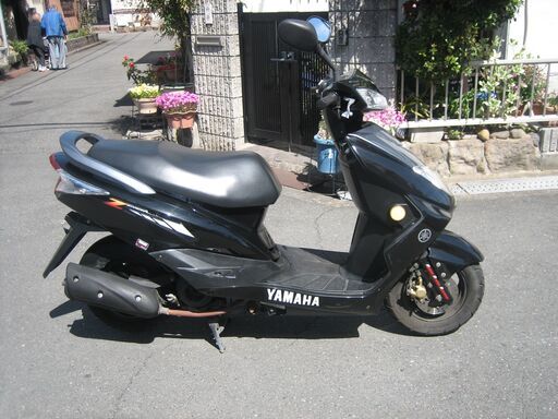 シグナスZ  ノーマル仕様　動画付