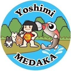 【YoshimiMEDAKA】　　　　　　　　　3/25.26メ...