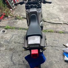 TDR50の画像