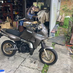 TDR50