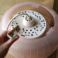 電気傘　ペンダントライトの画像