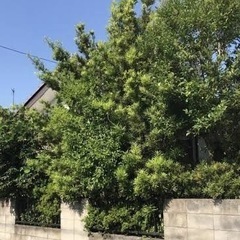 便利屋　小さな依頼から大きな依頼　何でも御相談下さい