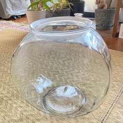 金魚鉢　飼育用品セット