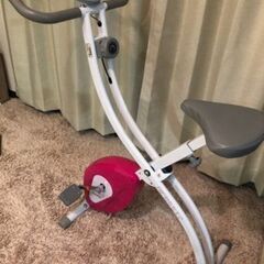 ALINCO エアロバイク　AFB4417 