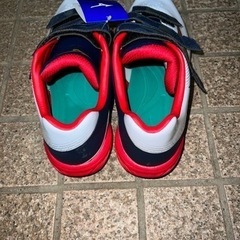 MIZUNO スパイクの画像