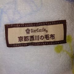 未使用　毛布　３枚　セットの画像