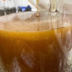 日本ミツバチの幻のハチミツ　100g